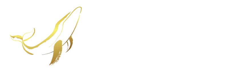 로고2